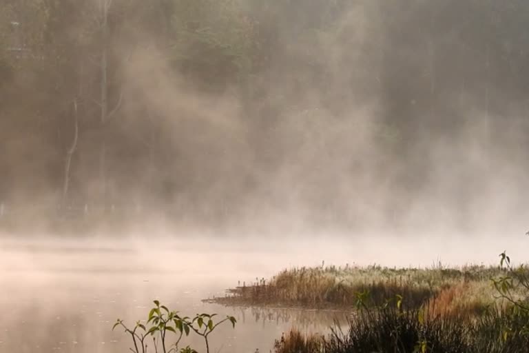 Video உறைபனியால் காஷ்மீர் போல் காட்சியளிக்கும் கொடைக்கானல்