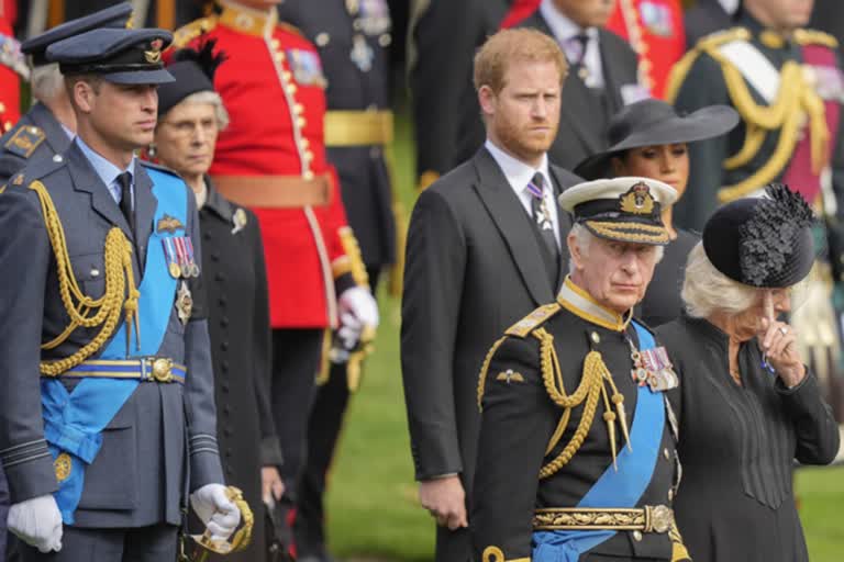 prince harry shocking comments on prince william