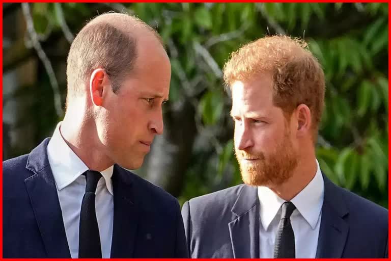 Prince Harry accuses William