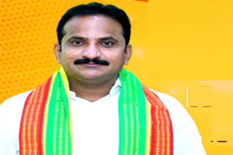 TDP Leader