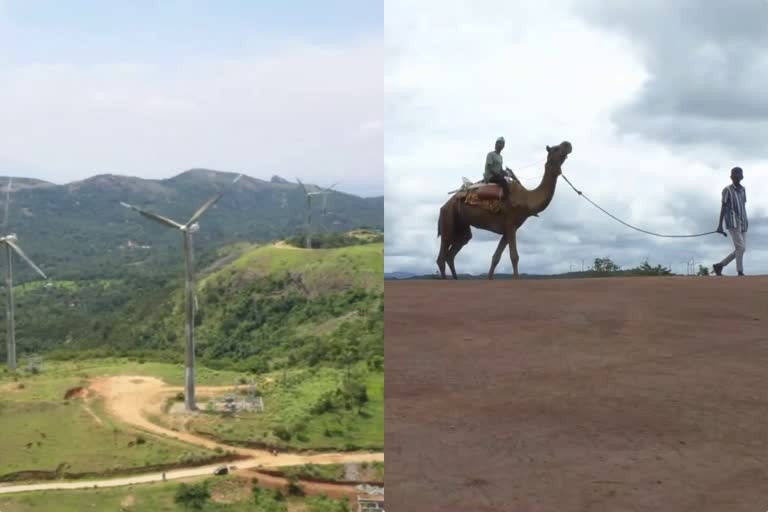 idukki ramakkalmedu tourism  idukki ramakkalmedu  ramakkalmedu  ramakkalmedu tourist place  idukki tourism  idukki tourist place