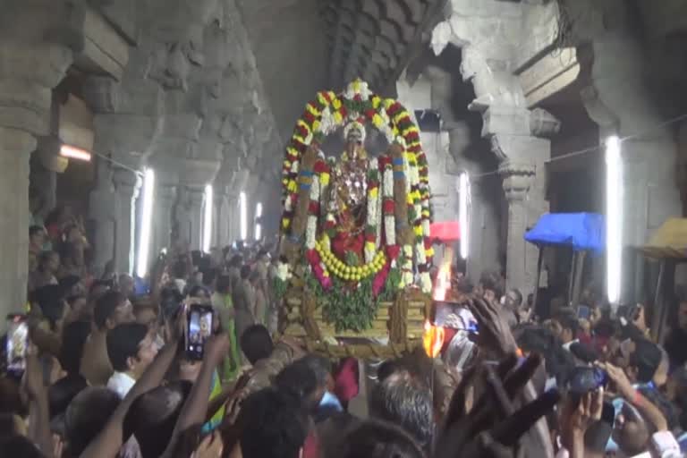 நெல்லையப்பர் காந்திமதி அம்பாள் கோயிலில் ஆருத்ரா தரிசனம்!