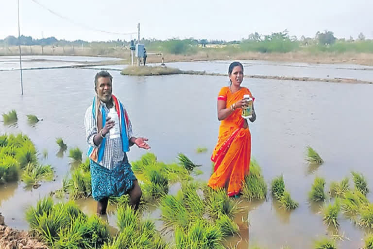 Sri Sathya Sai District