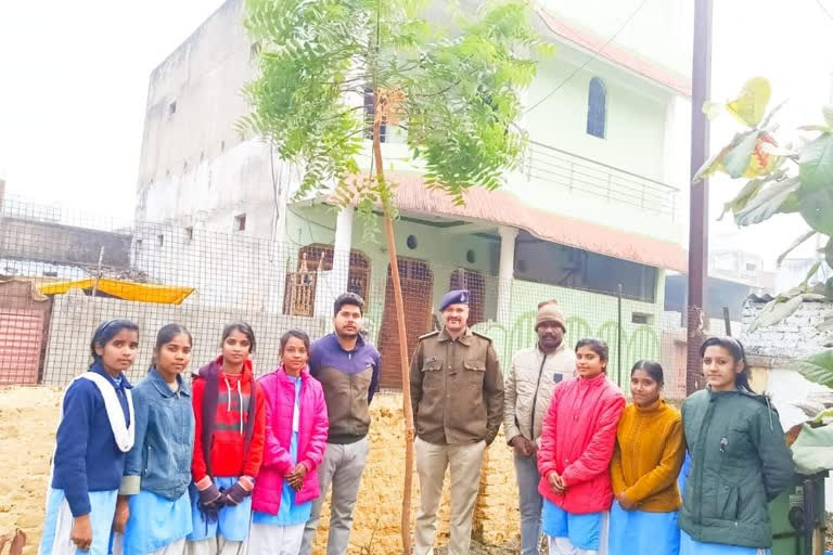 umaria youth group plants saplings together