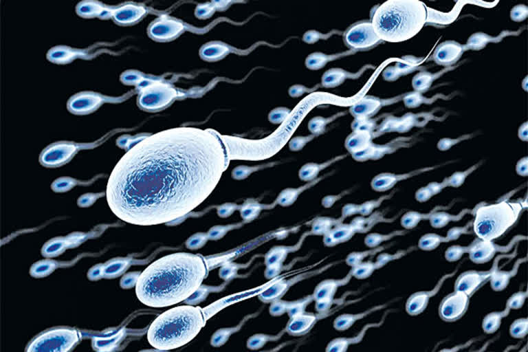 BHU research on stress and male infertility