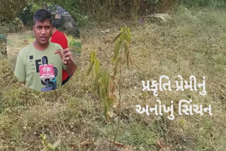 જૂનાગઢ વનવિભાગની ઉદાસીનતા સામે ઝઝૂમતો પ્રકૃતિ પ્રેમી યુવાન