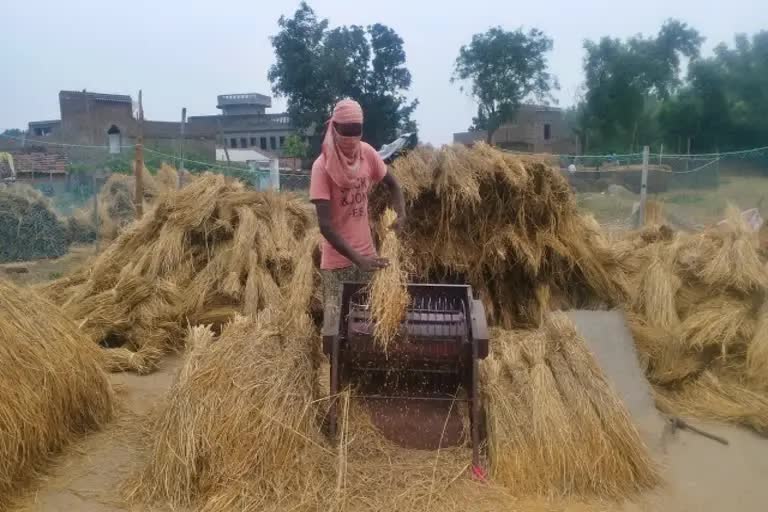 Slow pace of paddy procurement in Jharkhand