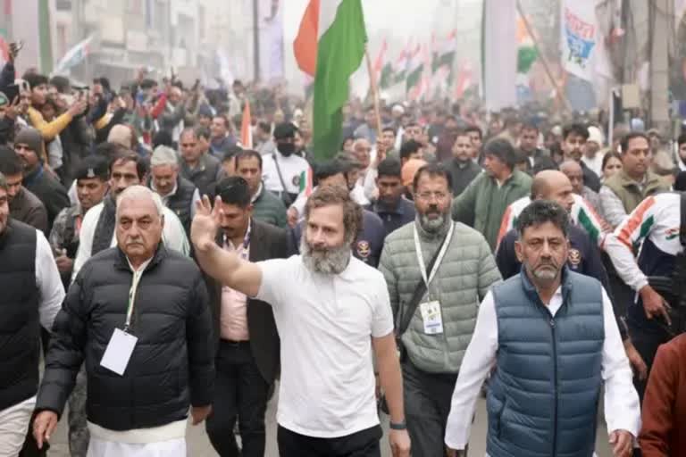 rahul gandhi bharat jodo yatra