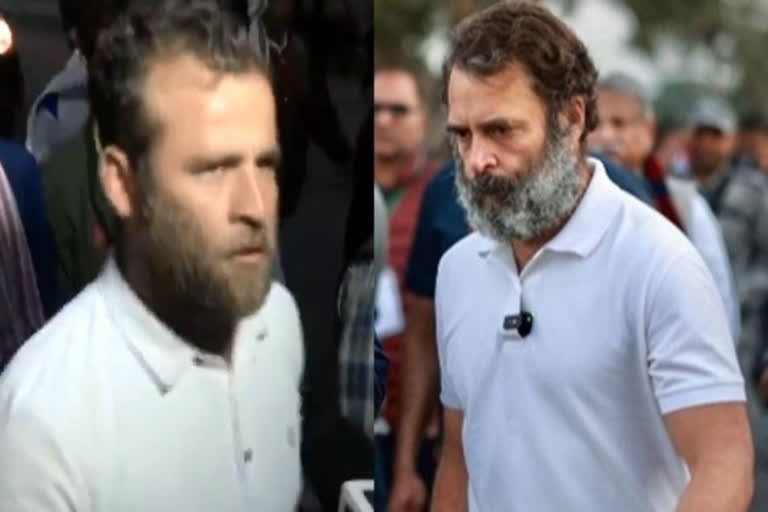 Rahul Gandhi's lookalike spotted in UP leg of Bharat Jodo Yatra