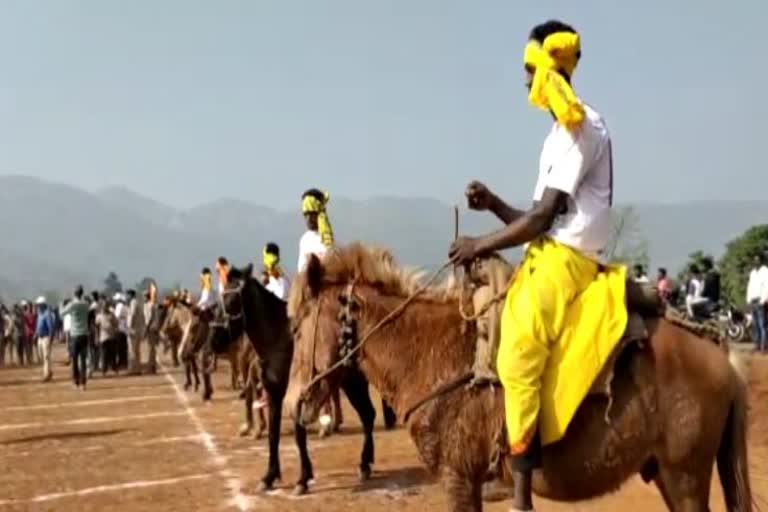 Horse riding in Swabhiman area