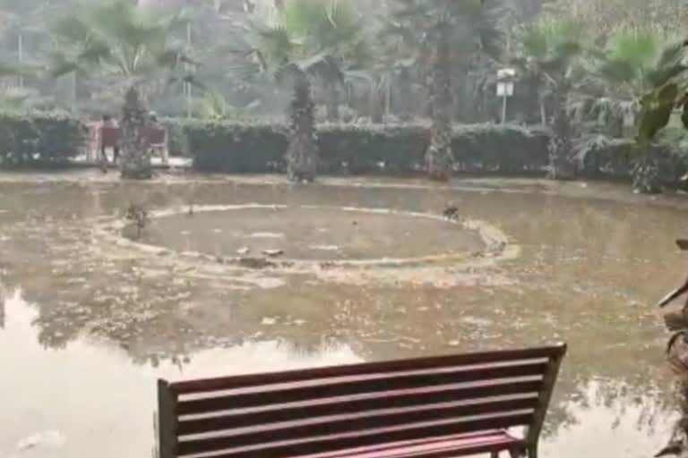 water filled in park in Matiala delhi