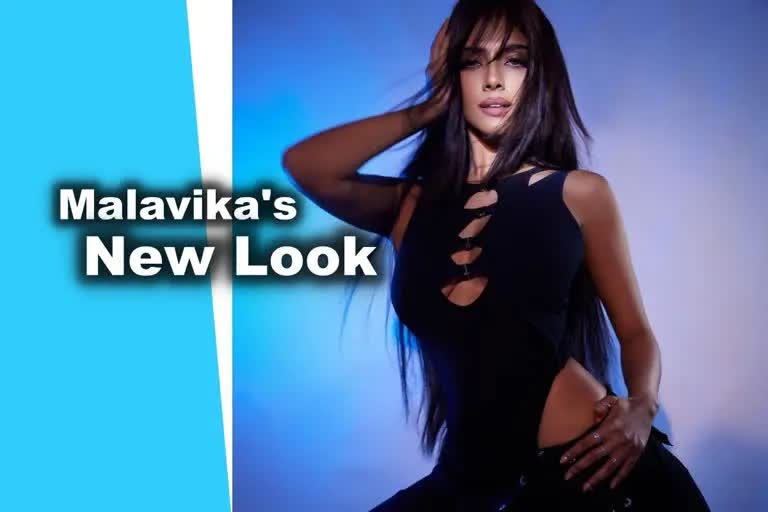 டஸ்கி பியூட்டி மாளவிகாவின் கிளாமர் புகைப்படத் தொகுப்பு