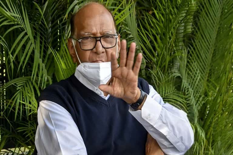 Etv BharatNothing wrong in calling Sambhaji Maharaj Swarajrakshak: Sharad Pawar (file photo)