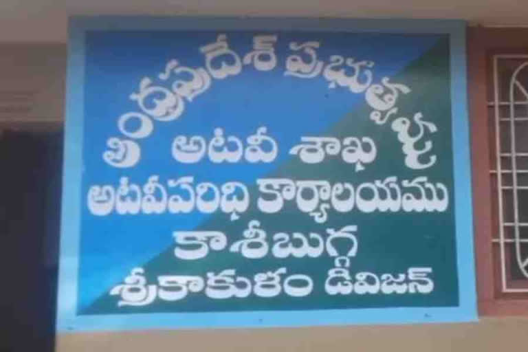 పాంగోలిన్