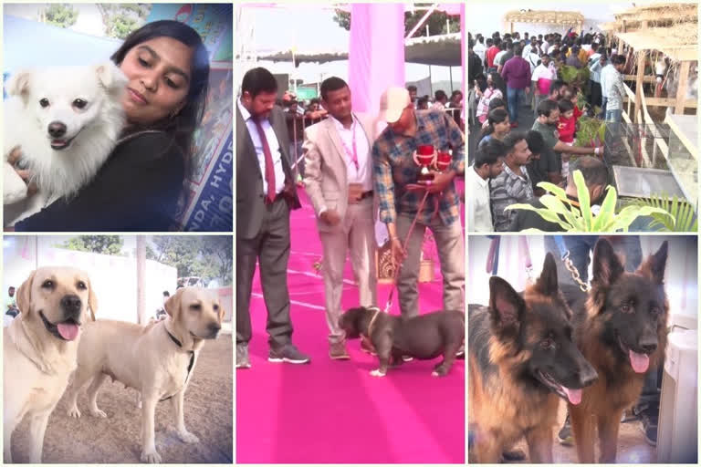 Dog Show Carnival At Peoples Plaza Hyderabad