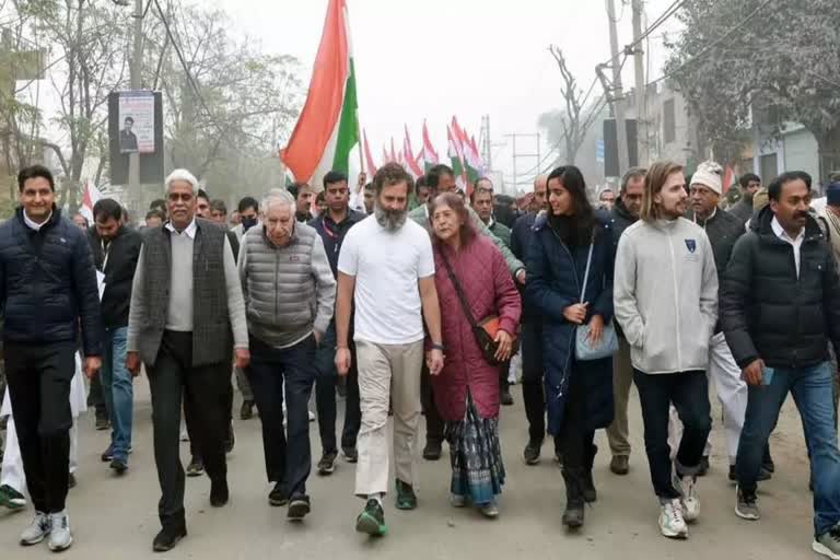 Rahul Gandhi says Bharat Jodo Yatra is getting more response in North India