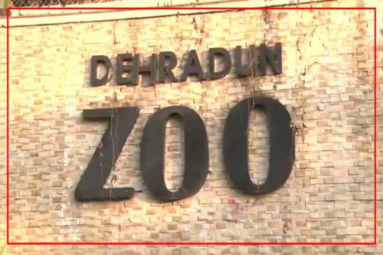 Dehradun Zoo