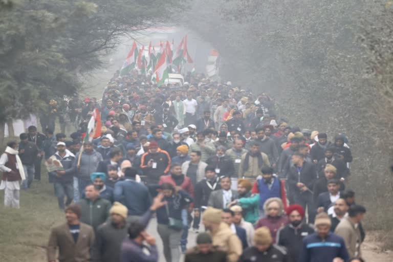 Bharat jodo yatra in haryana