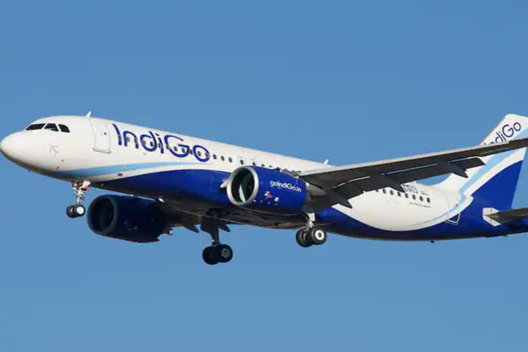 indigo  drunk passengers misbehaved in indigo  indigo flight  indigo issue  drunk passengers in indigo  ഇന്‍ഡിഗോ  ന്യൂഡല്‍ഹി പാട്‌ന  ഇന്‍ഡിഗോ വിമാനത്തില്‍ അതിക്രമം  ന്യൂഡല്‍ഹി  പാട്‌ന