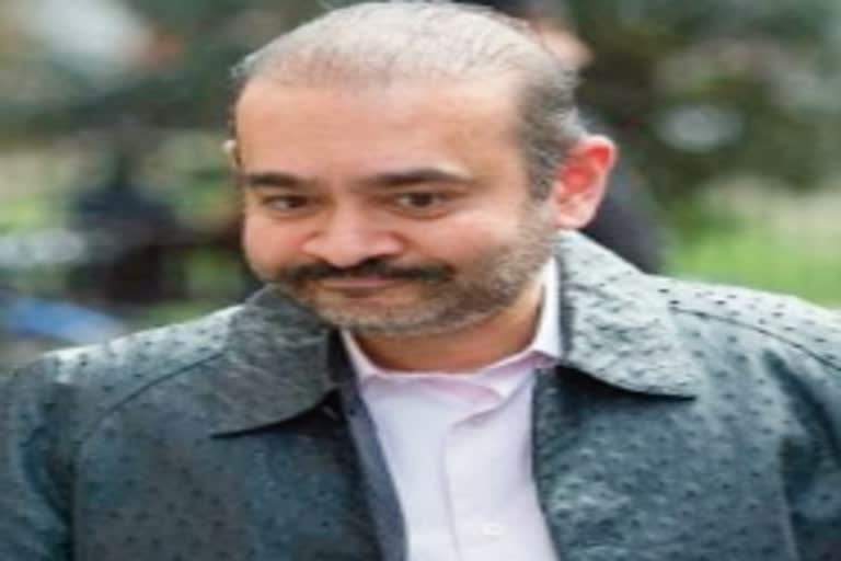 Diamond Merchant Nirav Modi