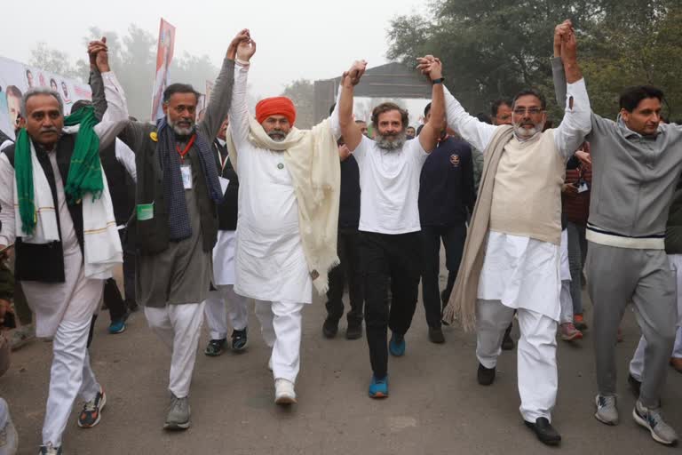 Rahul Gandhi in Kurukshetra Bharat Jodo Yatra