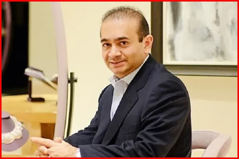 Nirav Modi