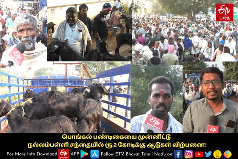 ஒரே ஆடு ரூ.30 ஆயிரம்; ரூ.1 கோடிக்கு ஆடுகள் விற்பனை.. தருமபுரியில் அமோகம்!