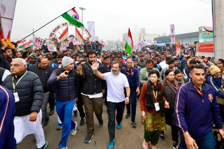 Rahul Gandhi Bharat jodo yatra in haryana