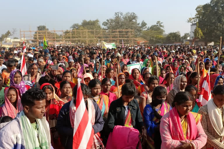 tribal gathering In Madhuban