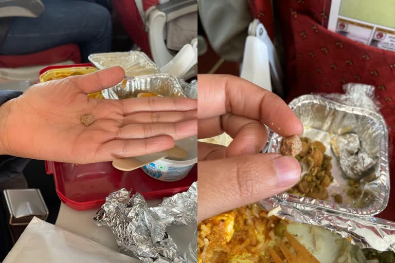 Air India plane  Air India  Air India controversy  passenger found stone in meal  Passenger finds stone in Air India in flight meal  Stone found in Air India inflight meal  വിമാനത്തിലെ ഭക്ഷണത്തിൽ കല്ല്  എയർ ഇന്ത്യ  ന്യൂ ഡൽഹി  സര്‍വപ്രിയ സങ്‌വാൻ  ഡൽഹി  കാഠ്‌മണ്ഡു  എയര്‍ഇന്ത്യ 215