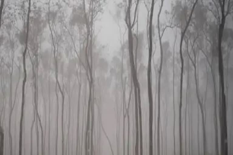 Chhattisgarh weather