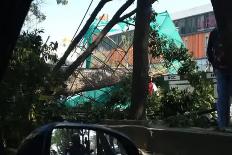 Bengaluru Metro Pillar Collapse