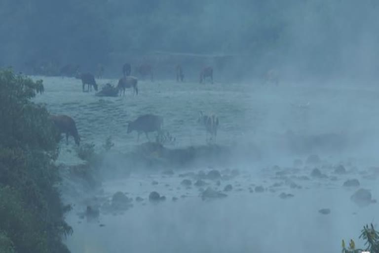 munnar cold