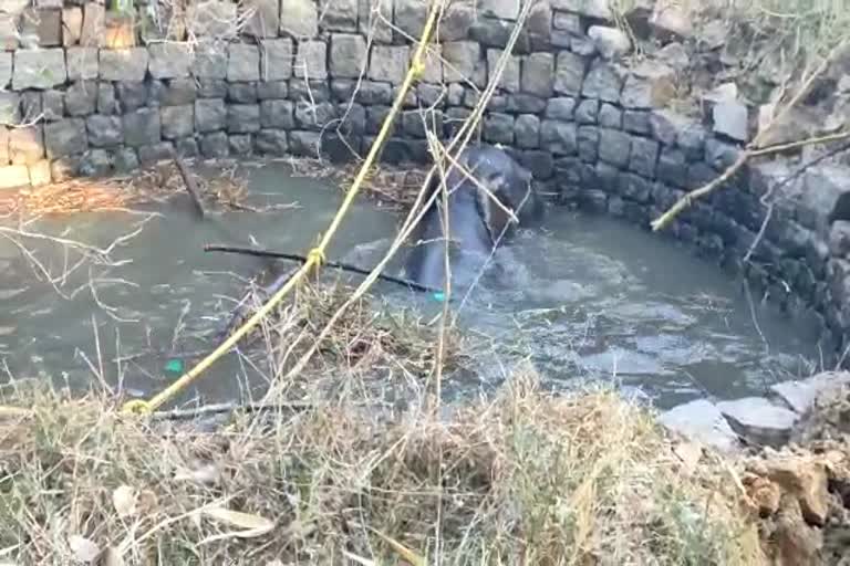 elephant fell in well in kachhar village