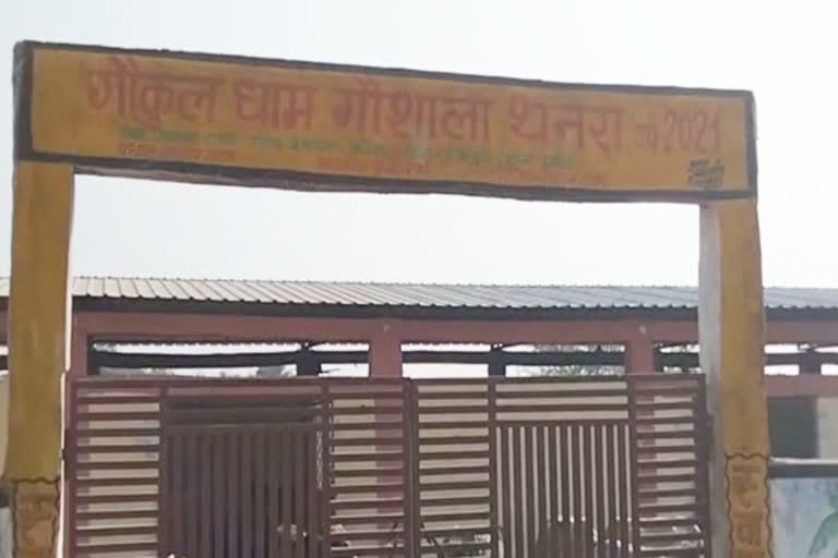Shivpuri Gokuldham Gaushala