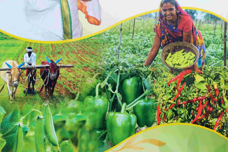 Organic farming in jharkhand