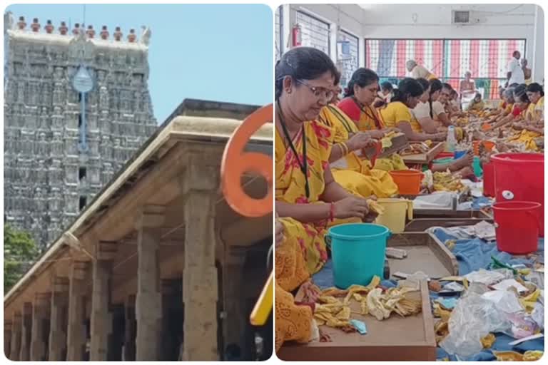 11 நாளில் திருச்செந்தூர் கோயில் ரூ248 கோடி உண்டியல் காணிக்கை