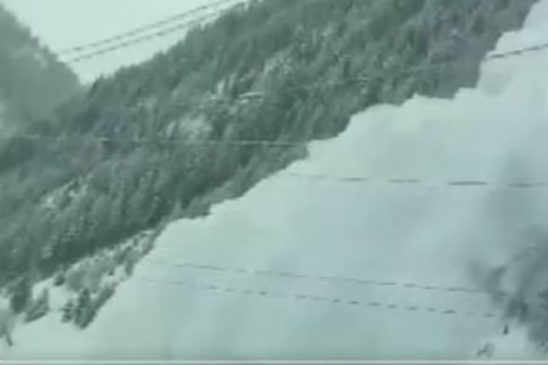 avalanche occurred near Baltal in Ganderbal