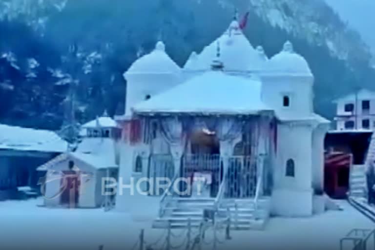 Snowfall in gangotri: ગંગોત્રીમાં ભારે હિમવર્ષા, ધામનો નજારો બદલાયો