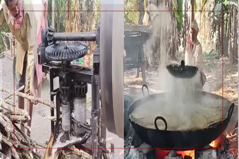 Bhogali bihu celebration in Majuli