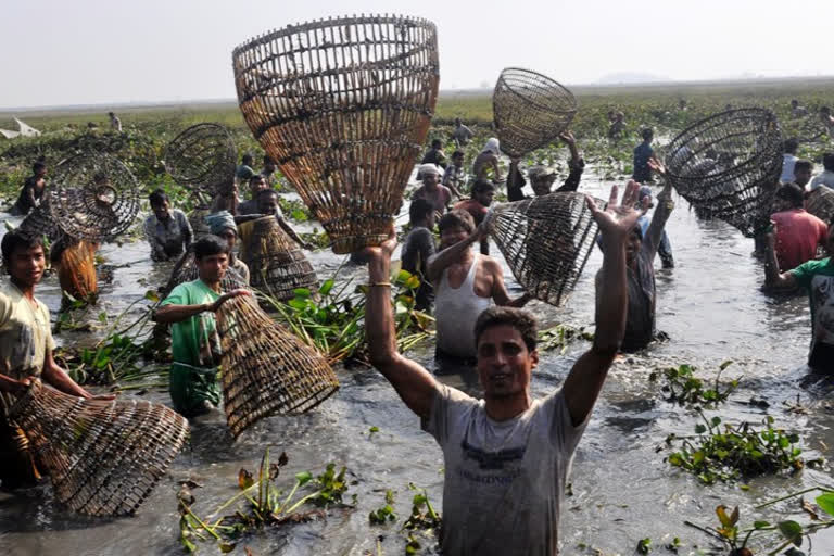 Kaziranga