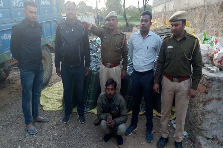smuggler with doda sawdust arrested in chittorgarh