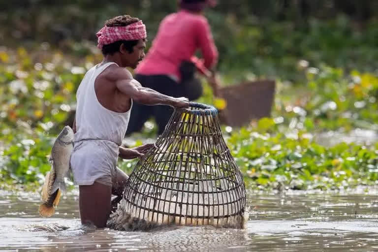 Assam is all set to celebrate 'Bhogali' or 'Magh Bihu' with feasting called 'Uruka', as communities cook and eat together to celebrate the harvest they have reaped. A highlight of the festivities is the painstakingly created 'bhelaghars' (hay and bamboo structures) depicting various themes ranging from human-elephant conflict, historical monuments and social issues, among others.