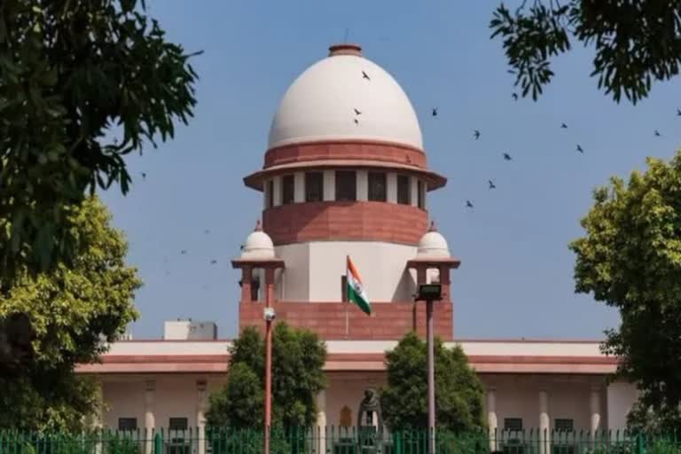 Supreme court