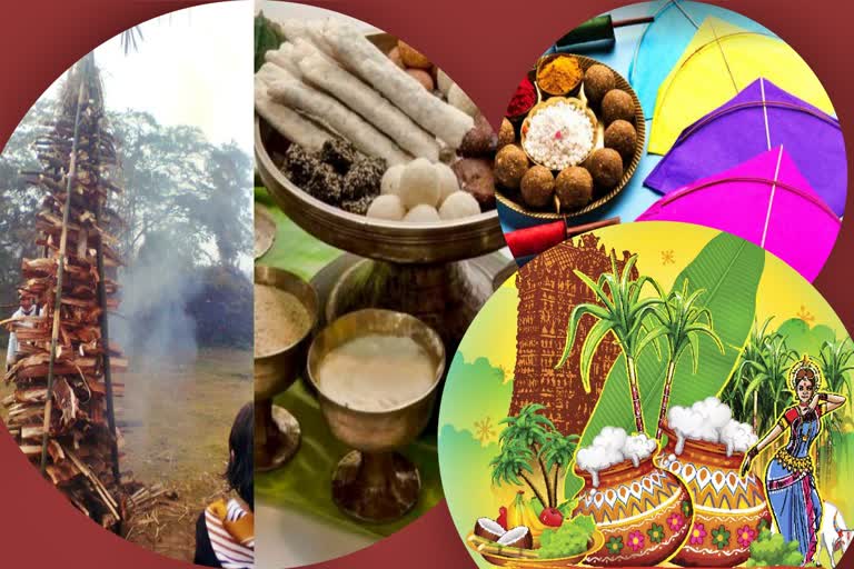 PM Modi greets people on Pongal Magh Bihu Makar Sankranti