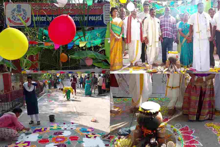 Sankranti celebrations