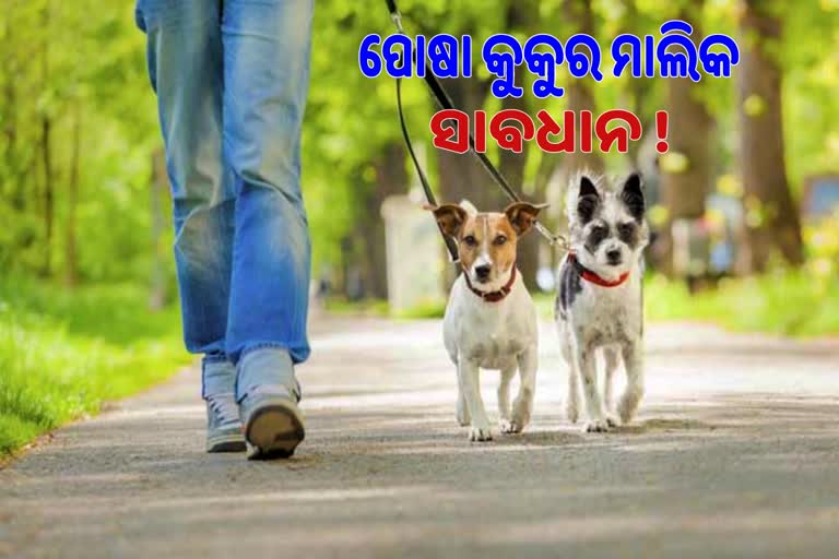 tax for pet dog