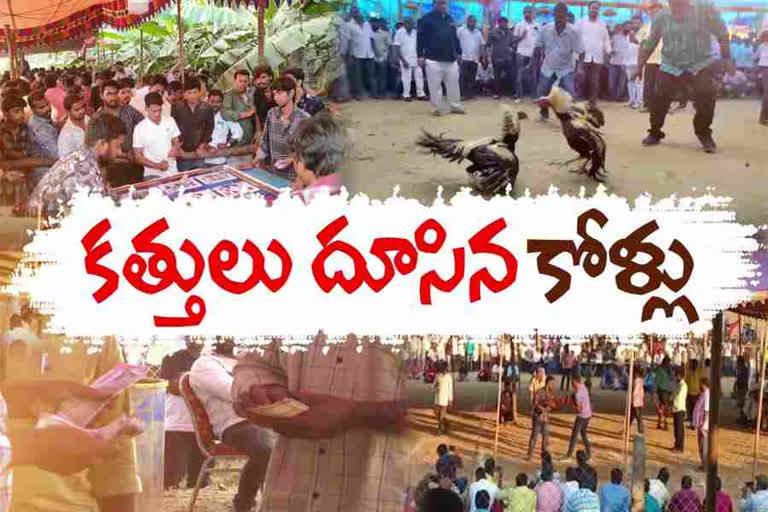 కోడిపందేలు