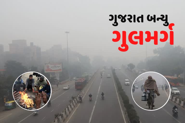 Gujarat Weather Today: ગુજરાતમાં પડી હાડ થીજવતી ઠંડી, નલિયા 3.8 ડિગ્રી સાથે સૌથી ઠંડું શહેર