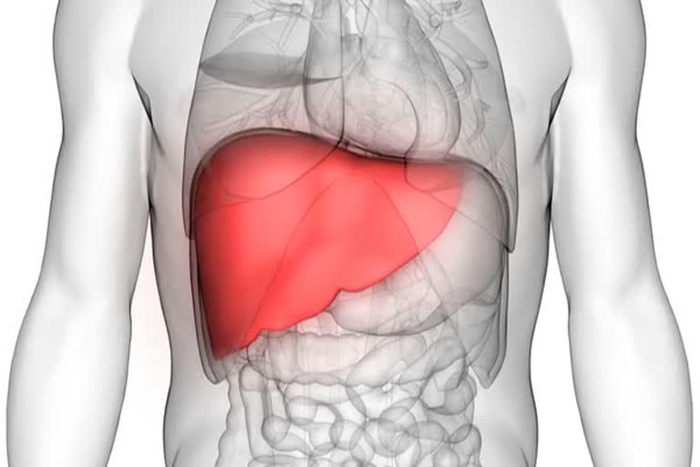 Fatty Liver Case In UP